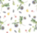 Passiflora Gift Wrap