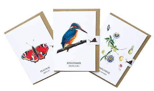 MINI CARD SELECTION.jpg