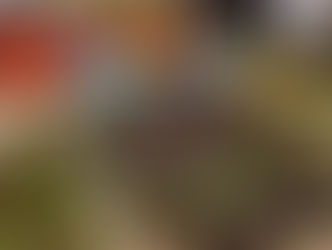 Taking food photos abroad