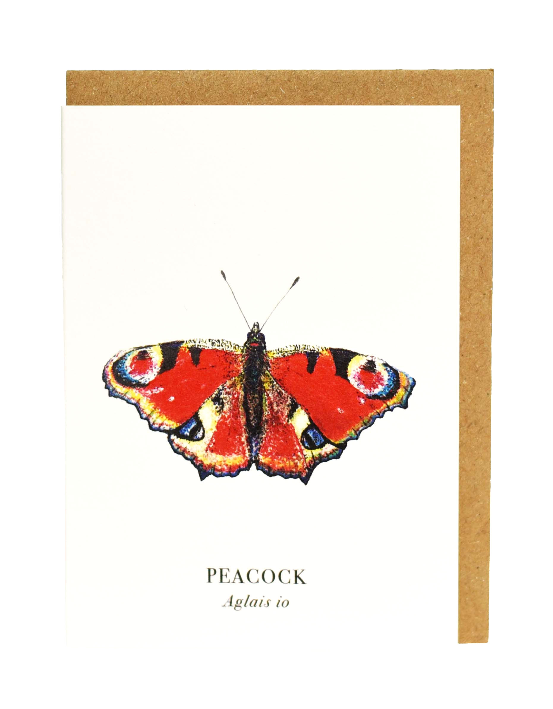 Peacock Butterfly Greeting Card