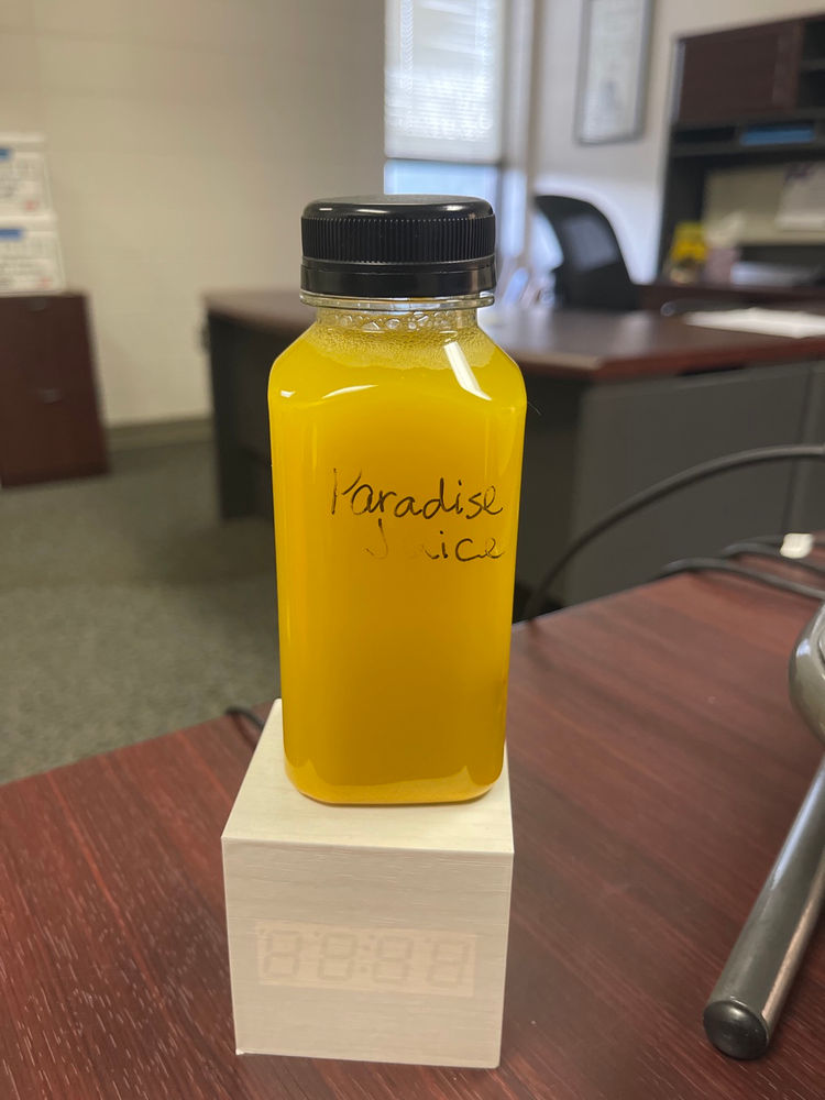 Day 2 Raw Vegan Challenge Delilah Fitness