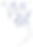 Website Background.png
