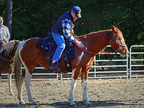 VetClinic-November-2019-LeilaStrickland-