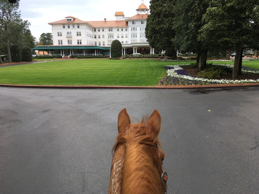 July 2020 Newsletter