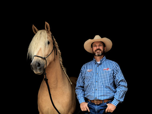 November 2020 Newsletter