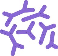 proteinas-violetas.webp