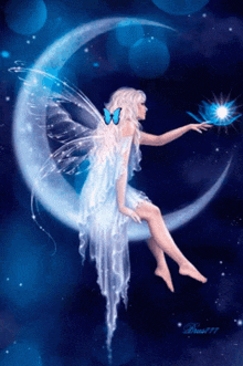 Moon Fairy.gif