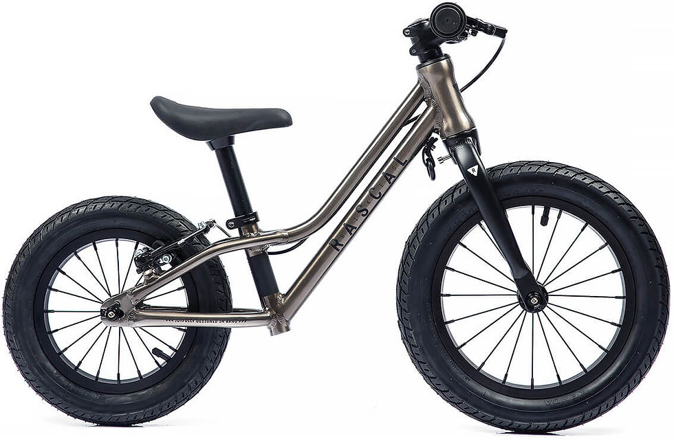 Sličica: Poganjalec Rascal Bikes