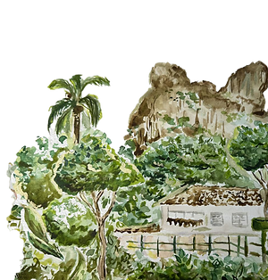 pedra da gavea png.png