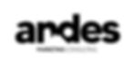 Andes Marketing consulting logo.jpeg