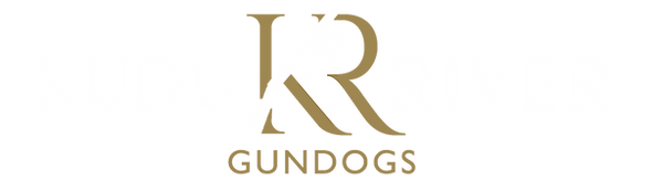 Logo_Inverted_Transparent_PNG-01_edited.png