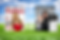 Placeholder Image.png