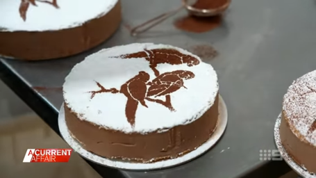 When a Video Changes Everything: The Viral Power of Storytelling for Local Businesses