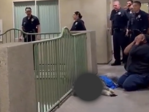 After the Bodycam footage, another viral video showed  woman grieving for her dead dog, Jameson, who was fatally shot by an LAPD officer . (Image Source: Viral on Social Media)