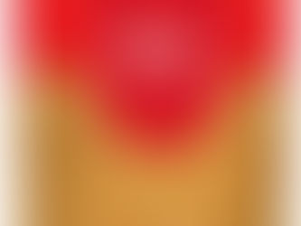 West Asia conflict hurts supply of Bikaneri Bhujia, snacks to Gulf and European countries