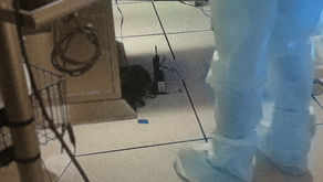 Capcom 'Resident Evil 3'.