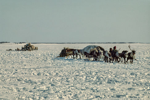 Nenets nomadic reindeer herders migrate on the frozen Ob river near Salekhard. Siberia, 1992.
