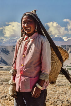 A farmer from the Purang region collects yak dung in the fields for cooking fuel. Tibet, 1987.