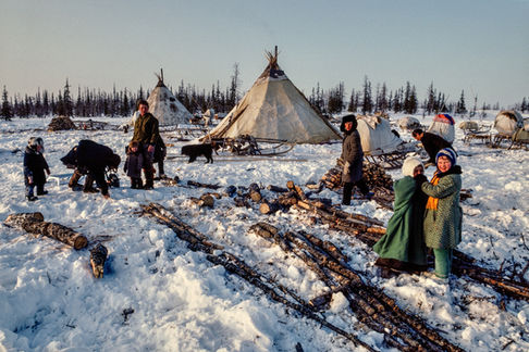 Komi nomadic reindeer herders prepare their firewood in the tundra near Salekhard. Siberia, 1992.