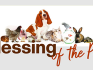 Blessing of the Pets