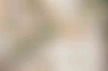 Flower bar setup for birthday party in Chicago with fresh blooms and DIY bouquet station