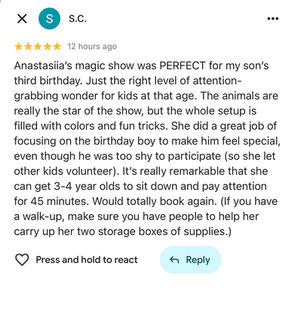 Customer review for children’s entertainment company in Schaumburg