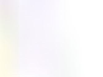 Ready New York My Pet's Emergency Plan