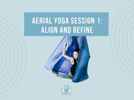 Aerial Yoga Workshop Session 1: Align and Refine