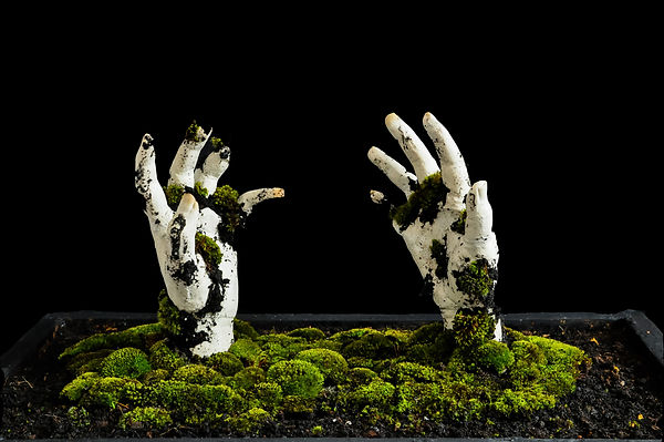 Woman Made Nature.jpg