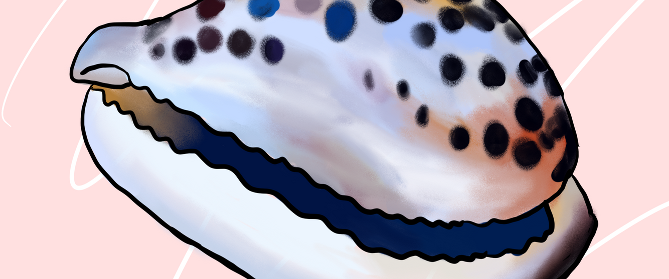 Cowrie.png
