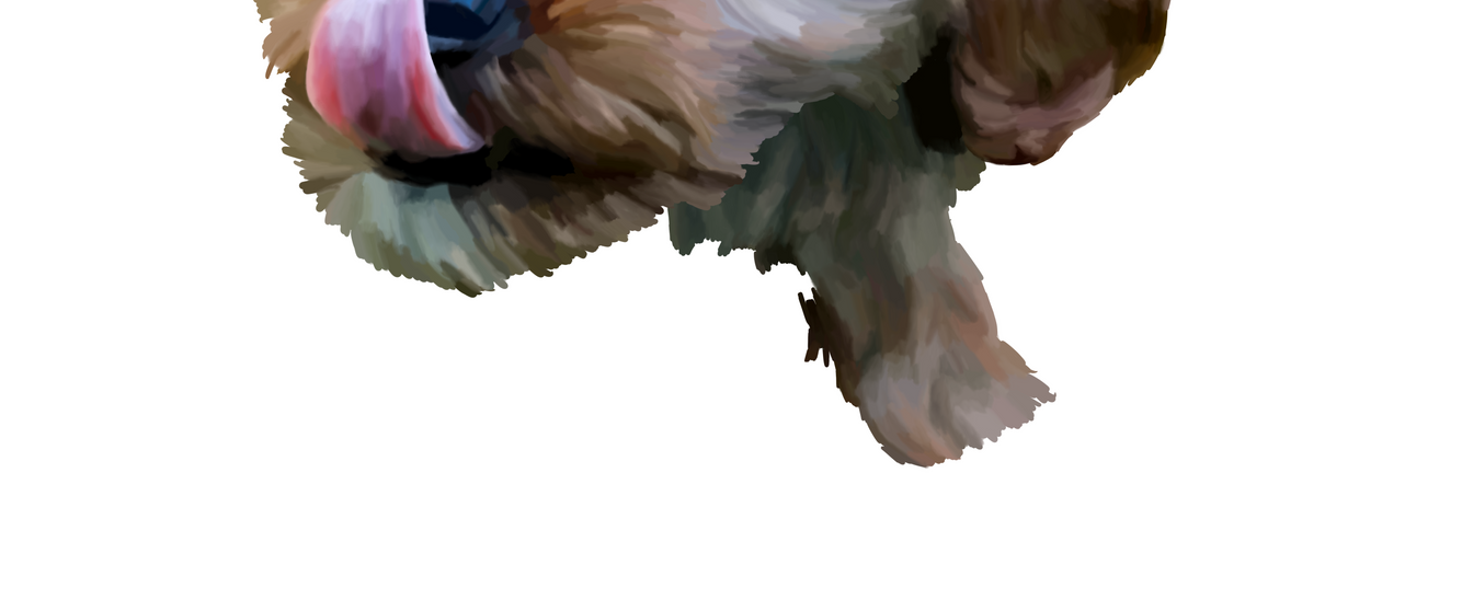 Untitled_Artwork 1.png