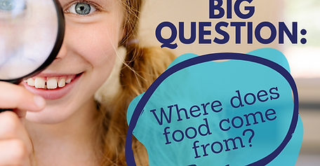About Braintree Academy