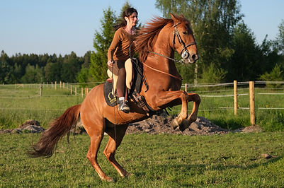 DSCF1272.JPG