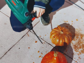 Les courges photophores