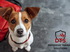 CPR for our fur babies (dogs and cats)