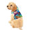 Thumbnail: Pet Hoodie