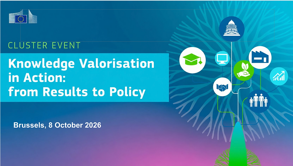 Professor Goodman, invited speaker, Knowledge Valorisation in Action