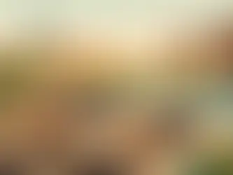 Custom outdoor kitchen design with pool and patio in Texas by CHR Builder