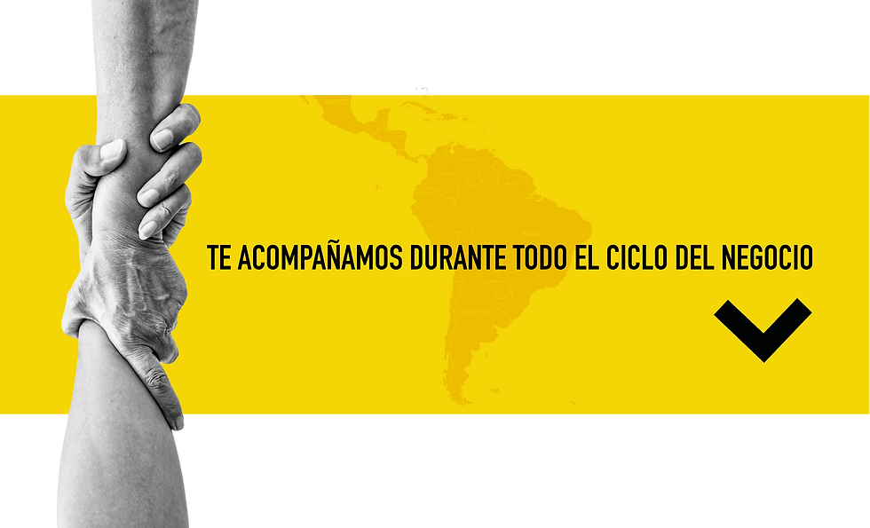 https://www.vicaconsulting.com/servicios