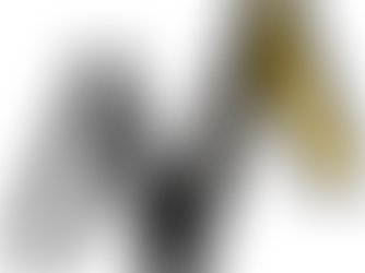 Nueva identidad, mismo propósito: la evolución del logotipo de VICA - TMC