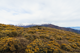 Explorando las Maravillas de La Parva