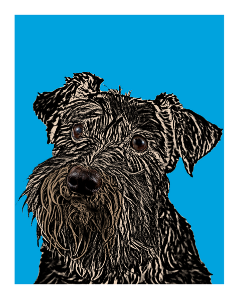 customized pet poster