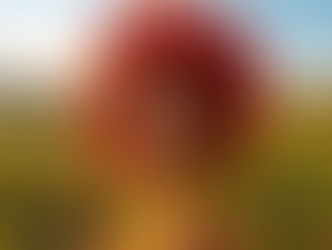 La Felicidad es un Hábito: Los Mejores Comportamientos para Cultivar una Vida Plena