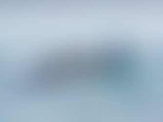 Desafíos profesionales