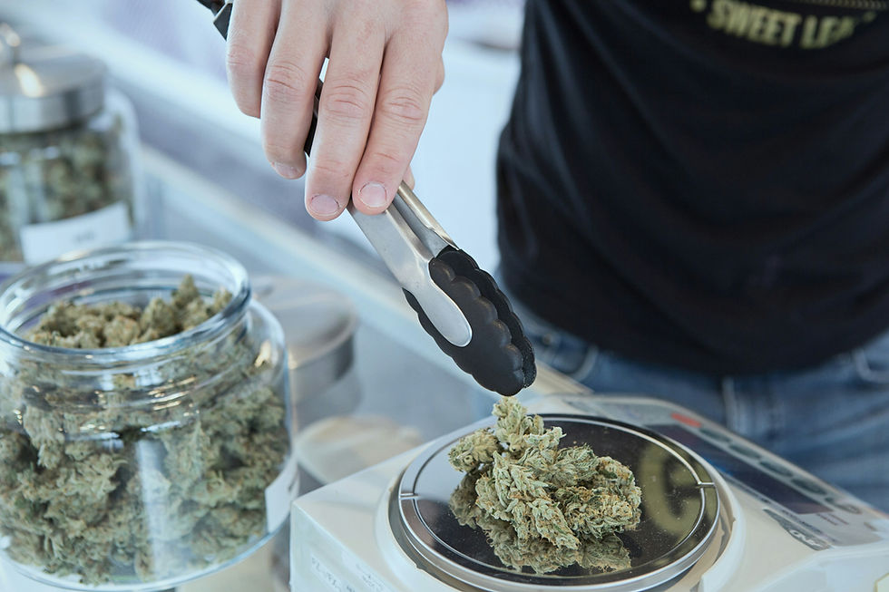 cannabis jamaica