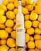 Limoncello Pic on lemons.jpg