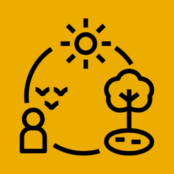 Ecosystem Restoration
