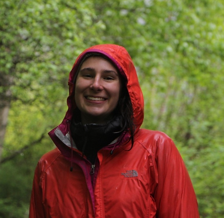 Screenshot 2024-05-29 at 2.39.55 PM (2).png