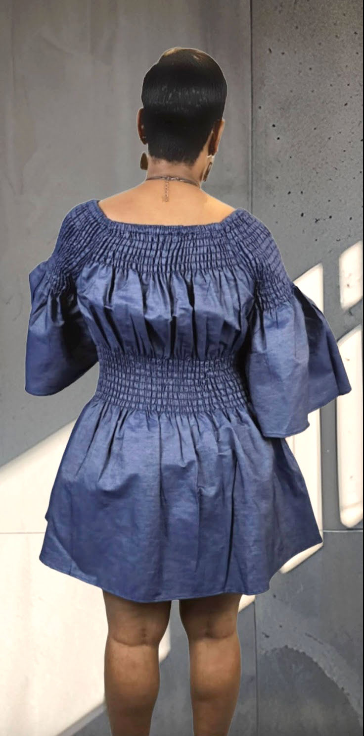 Thumbnail: Denim Smocked Top/Dress