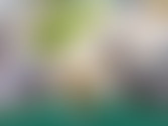 La saison des asperges